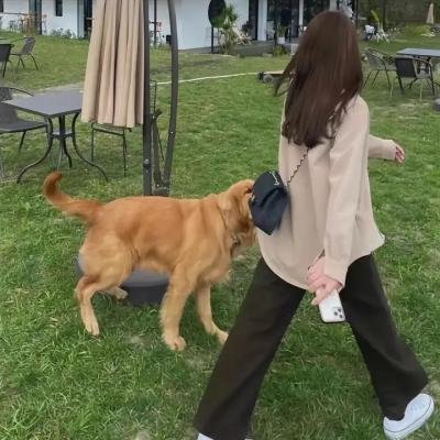 爱的诗韵